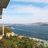  Appartements Rénovés Vue Bosphore à Istanbul Sariyer Sariyer 8074678 thumb39