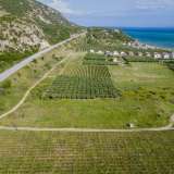  For Sale - (€ 0 / m2), Agricultural 200.28 m2 Orfano 8174773 thumb5