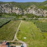  For Sale - (€ 0 / m2), Agricultural 200.28 m2 Orfano 8174773 thumb7