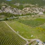  For Sale - (€ 0 / m2), Agricultural 200.28 m2 Orfano 8174773 thumb6