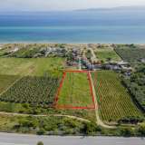  For Sale - (€ 0 / m2), Agricultural 200.28 m2 Orfano 8174773 thumb0
