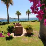  Beachfront Villa with Private Beach in Bodrum Turkey Bodrum 8074861 thumb7