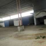  For Rent , Storage Space 1100 m2 Skotoussa 8174863 thumb6