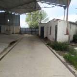  For Rent , Storage Space 1100 m2 Skotoussa 8174863 thumb5