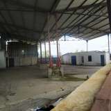  For Rent , Storage Space 1100 m2 Skotoussa 8174863 thumb4