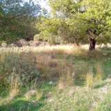  For Sale - (€ 0 / m2), Agricultural 7798 m2 Lefkada 7574096 thumb7
