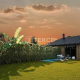 Houses with Private Gardens and Pools in Urla İzmir Urla 8075179 thumb7