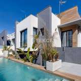  Geräumige freistehende Villa in Strandnähe in Torrevieja Alicante Alicante 8175252 thumb1
