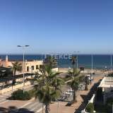  Ruime Vrijstaande Villa Vlakbij het Strand in Torrevieja Alicante Alicante 8175252 thumb18