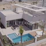  Detached Bungalow Style Villas with Pools in Benijofar Alicante Alicante 8175253 thumb1