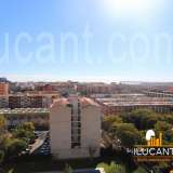   Alicante 4775580 thumb0