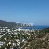  Detached Stylish Houses with Pool and Garden in Bodrum Turkey Bodrum 8075668 thumb4