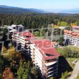  Hotel complex of 4 buildings 800 meters from the center of Borovets Borovets  7375693 thumb4