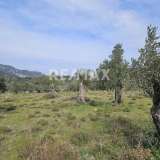  For Sale - (€ 0 / m2), Agricultural 5956 m2 Skiathos 8175973 thumb3