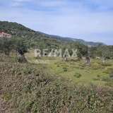  For Sale - (€ 0 / m2), Agricultural 5956 m2 Skiathos 8175973 thumb1