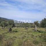 For Sale - (€ 0 / m2), Agricultural 5956 m2 Skiathos 8175973 thumb9