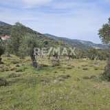  For Sale - (€ 0 / m2), Agricultural 5956 m2 Skiathos 8175973 thumb5