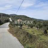  For Sale - (€ 0 / m2), Agricultural 5956 m2 Skiathos 8175973 thumb4