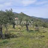  For Sale - (€ 0 / m2), Agricultural 5956 m2 Skiathos 8175973 thumb8