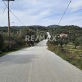  For Sale - (€ 0 / m2), Agricultural 5956 m2 Skiathos 8175973 thumb3