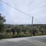  For Sale - (€ 0 / m2), Agricultural 5956 m2 Skiathos 8175973 thumb6