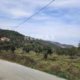 For Sale - (€ 0 / m2), Agricultural 5956 m2 Skiathos 8175973 thumb0