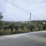  For Sale - (€ 0 / m2), Agricultural 5956 m2 Skiathos 8175973 thumb7