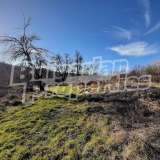  Large plot of land with three outbuildings near the town of Elena Elena city 7576057 thumb10