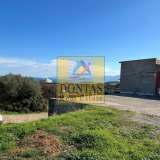  (For Sale) Commercial Building || Lasithi/Agios Nikolaos - 1.800 Sq.m, 500.000€ Agios Nikolaos 8076694 thumb1