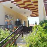  Detached Villa in Coral Bay close to the beach. Peyia 2877449 thumb0