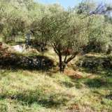  For Sale - (€ 0 / m2), Agricultural 2400 m2 Lefkada 7577462 thumb3