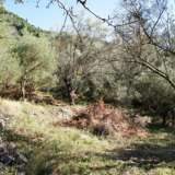 For Sale - (€ 0 / m2), Agricultural 2400 m2 Lefkada 7577462 thumb4