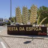   Loule (Central Algarve) 8077689 thumb24
