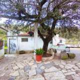   Loule (Centralny Algarve) 8077689 thumb6