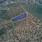  For Sale - (€ 0 / m2), Agricultural 4040 m2 Ermioni 8177717 thumb1