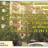   Wroclaw 8177753 thumb0