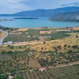 For Sale - (€ 0 / m2), Agricultural 18000 m2 Kranidi 8177783 thumb6