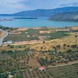  For Sale - (€ 0 / m2), Agricultural 18000 m2 Kranidi 8177783 thumb4