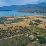  For Sale - (€ 0 / m2), Agricultural 18000 m2 Kranidi 8177783 thumb0