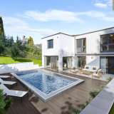  Modern family villa with pool, large garden and double garage Untertullnerbach 8077890 thumb0