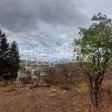  Terraced plot next to a pine forest in Vitosha Nature Park Pernik city 7477937 thumb7