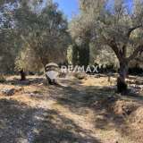  For Sale - (€ 0 / m2), Agricultural 4716 m2 Lefkada 7678437 thumb7