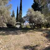  For Sale - (€ 0 / m2), Agricultural 4716 m2 Lefkada 7678437 thumb8