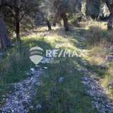  For Sale - (€ 0 / m2), Agricultural 4716 m2 Lefkada 7678437 thumb5