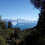  For Sale - (€ 0 / m2), Agricultural 4716 m2 Lefkada 7678437 thumb3