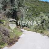  For Sale - (€ 0 / m2), Agricultural 9515 m2 Lefkada 7678440 thumb7