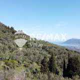  For Sale - (€ 0 / m2), Agricultural 9515 m2 Lefkada 7678440 thumb2