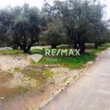  For Sale - (€ 0 / m2), Agricultural 6684 m2 Lefkada 7678441 thumb3