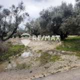  For Sale - (€ 0 / m2), Agricultural 6684 m2 Lefkada 7678441 thumb4