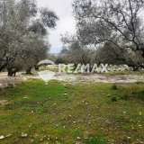  For Sale - (€ 0 / m2), Agricultural 6684 m2 Lefkada 7678441 thumb0